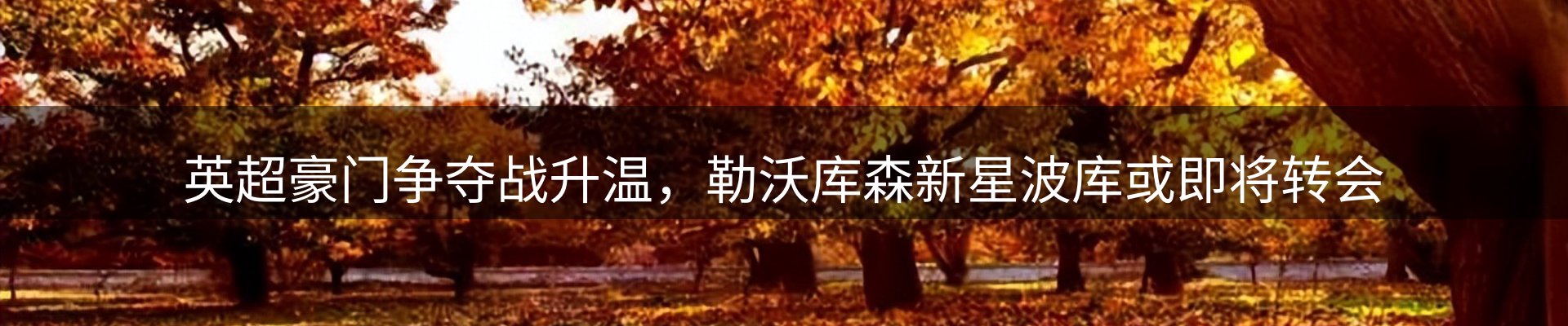 龙八头号玩家要闻